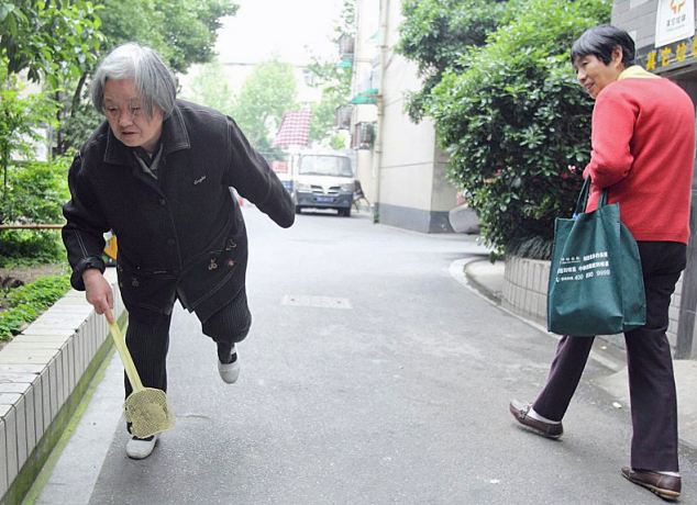 Chinese pensioner who has spent eight hours a day, seven days a week for the past 14 years swatting bugs
